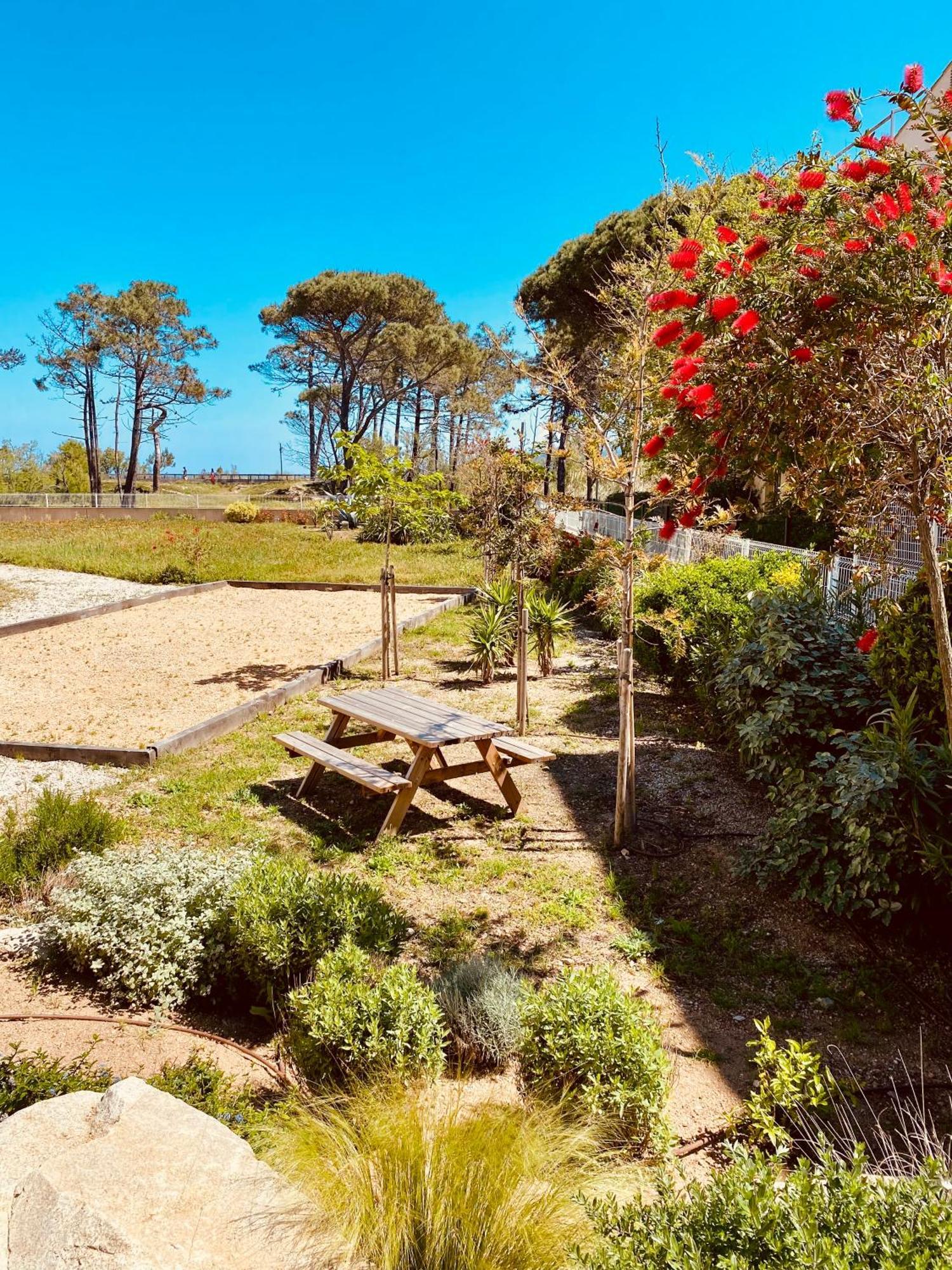 Calvi Hotel Zewnętrze zdjęcie